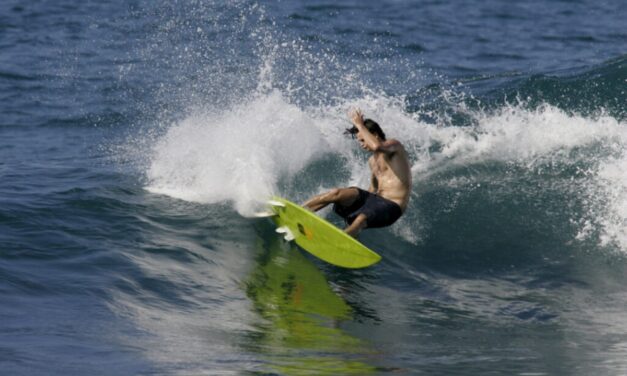 Surf, concert et culture à Marennes pour un anniversaire pas comme les autres