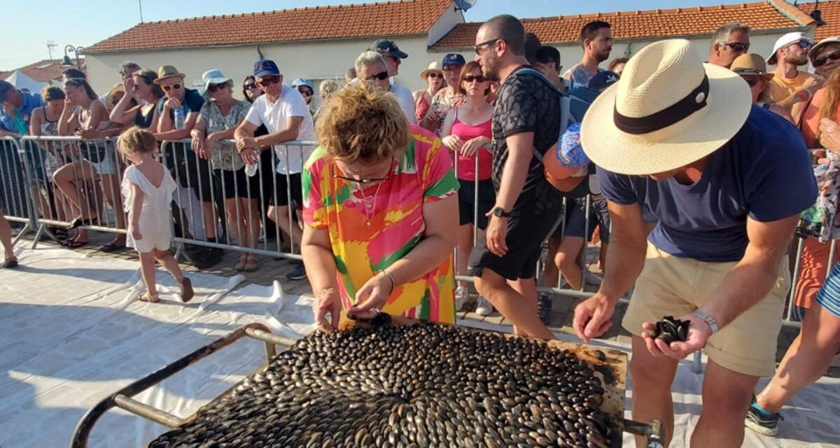 Fête des huîtres et des moules près de La Rochelle : tout le programme