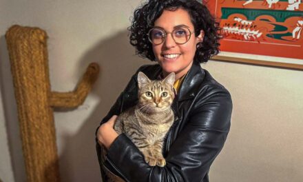 « Je veux éviter que d’autres vivent la même chose que moi » : une adoptante de chats donne l’alerte