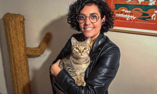 « Je veux éviter que d’autres vivent la même chose que moi » : une adoptante de chats donne l’alerte