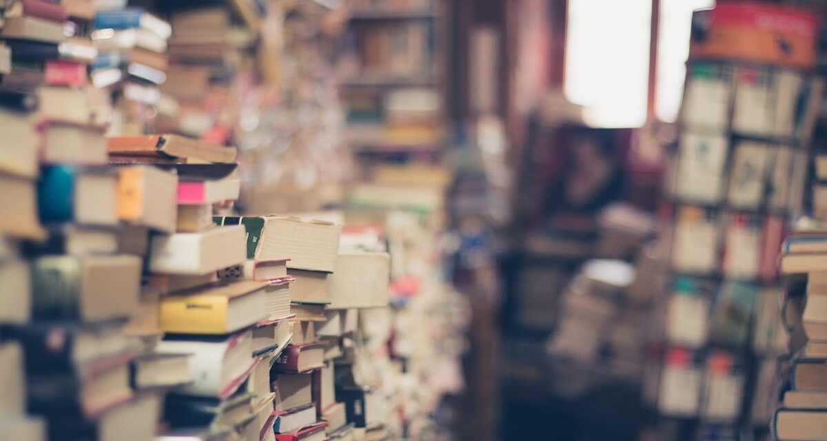 Le Livre en Fête de Saint-Xandre est de retour dimanche 19 octobre