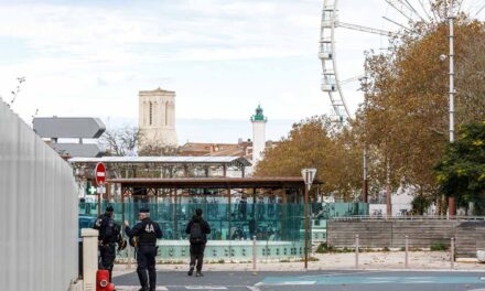 Municipales 2026. A La Rochelle, les comités de quartier interpellent les candidats