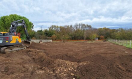 Près de La Rochelle, un fossé rectiligne redevient cours d&rsquo;eau