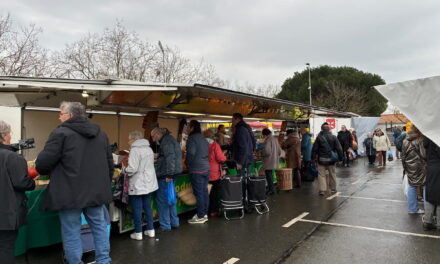 Port Neuf : la météo ne freine pas les habitués du marché
