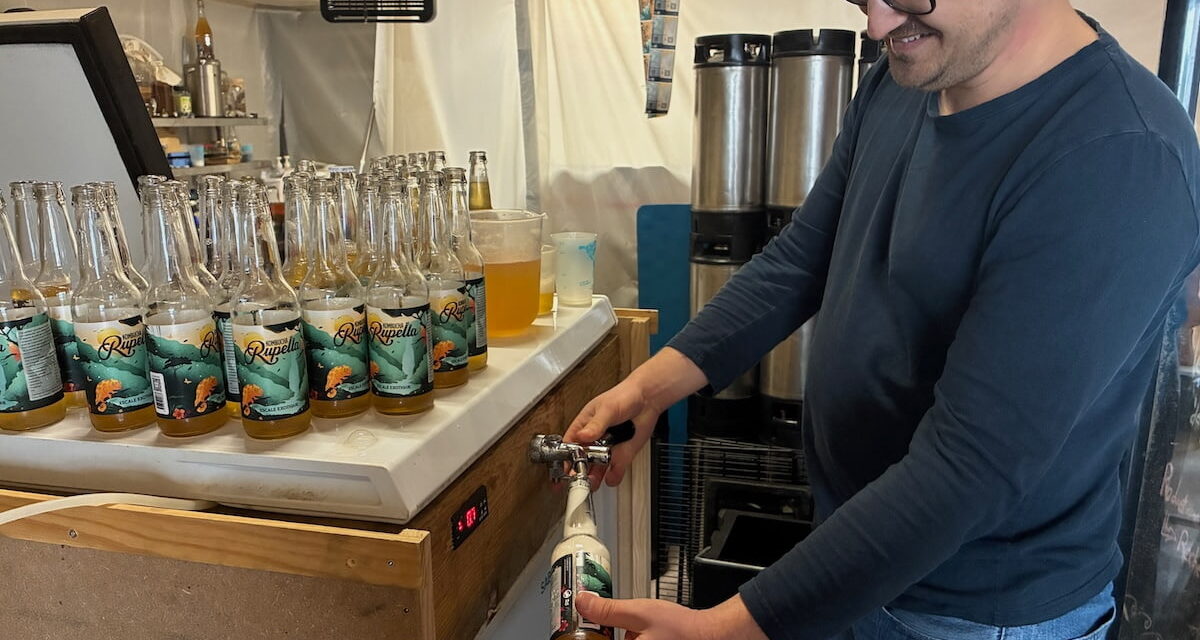 « Une alternative à la bière avec les bienfaits du kombucha », ce brasseur rochelais propose une nouvelle gamme de boisson