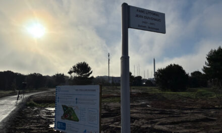 « Un îlot de fraîcheur où on peut se retrouver » : le chantier du parc Jean-Duvignaud avance