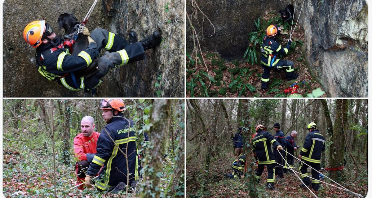Un chien secouru par les pompiers dans une carrière à Crazannes