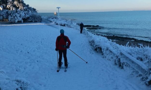 Du mieux sur les routes de Charente-Maritime