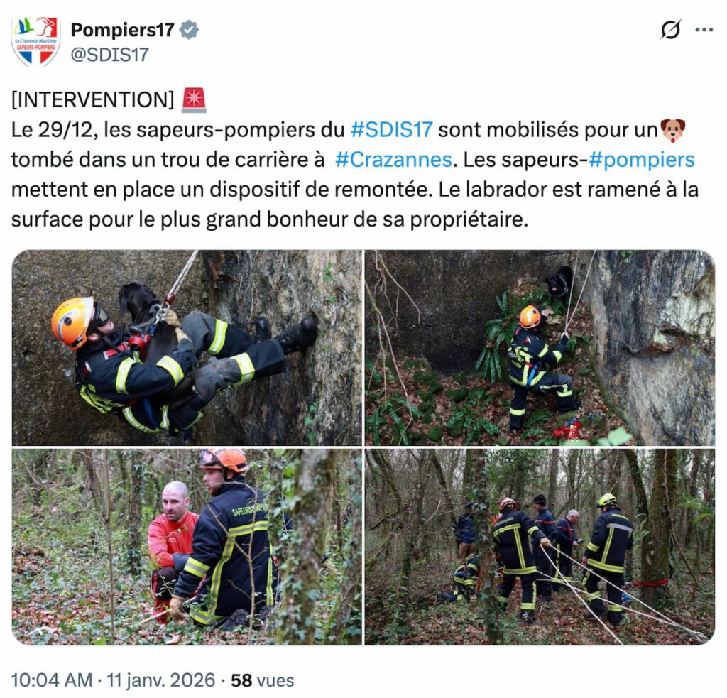 chien secouru par pompiers dans un crevasse à Crazannes
