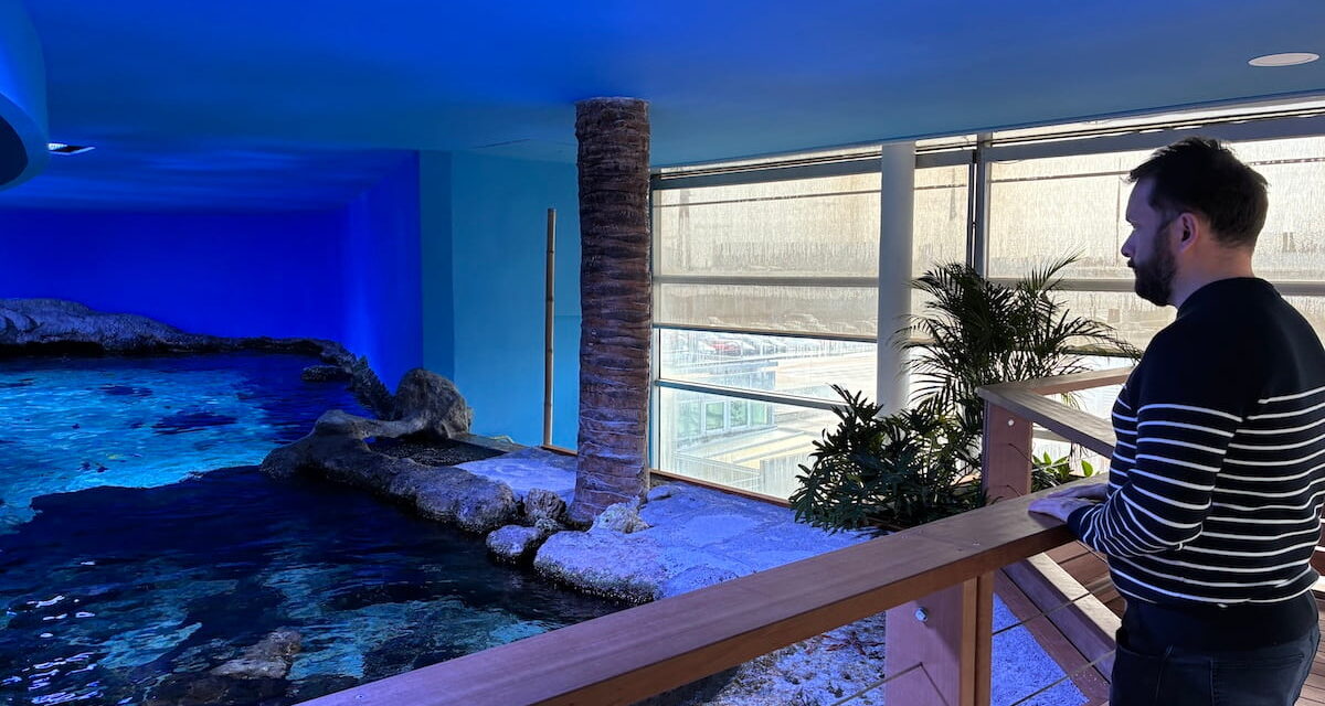 « Répondre aux attentes des visiteurs » : l&rsquo;aquarium de La Rochelle se renouvelle