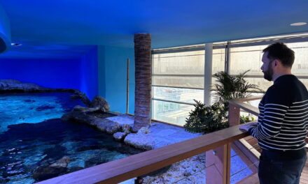 « Répondre aux attentes des visiteurs » : l&rsquo;aquarium de La Rochelle se renouvelle