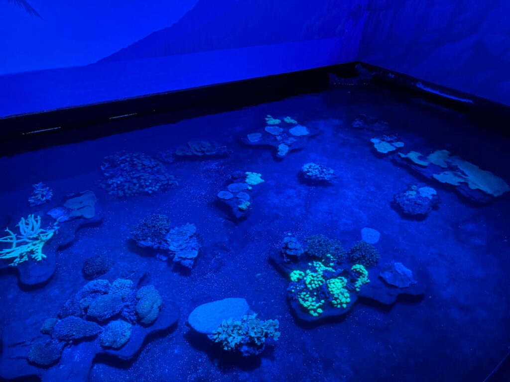 Aquarium La Rochelle