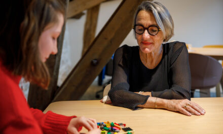 LEGO® SERIOUS PLAY® : quand les briques libèrent la parole à La Rochelle