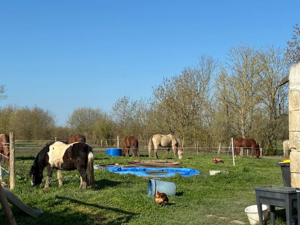 Jardin partagé La Ronde