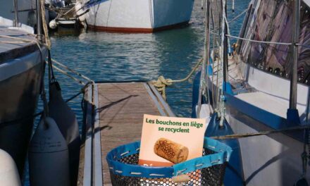« Un non-sens écologique  » : à La Rochelle, une seconde vie pour les bouchons