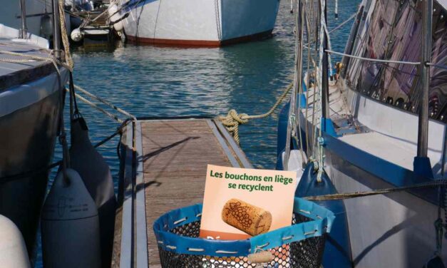 « Un non-sens écologique  » : à La Rochelle, une seconde vie pour les bouchons