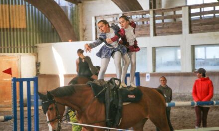 Concours de voltige équestre de La Rochelle : tous les résultats