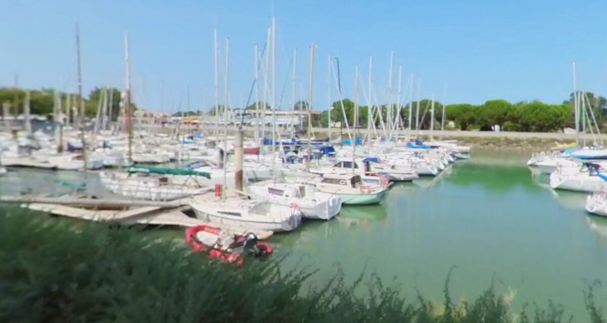 Sur l’île d’Oléron, des forfaits adaptés pour des sorties en mer