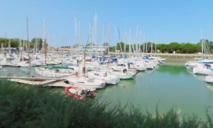 Sur l’île d’Oléron, des forfaits adaptés pour des sorties en mer