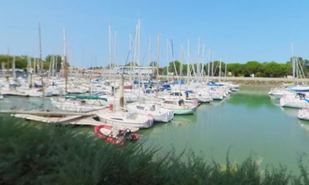 Sur l’île d’Oléron, des forfaits adaptés pour des sorties en mer