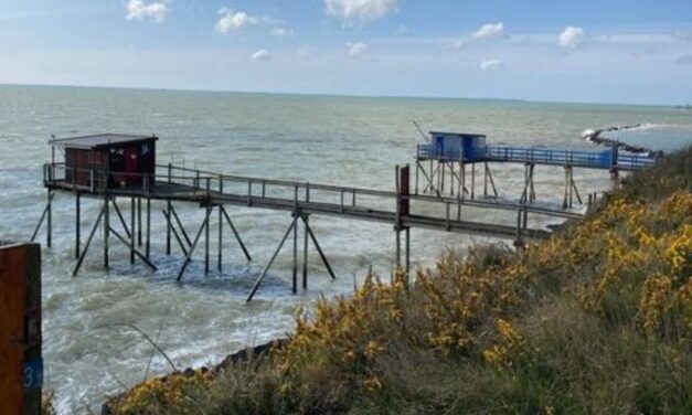 23 carrelets à vendre : on vous explique comment les acheter