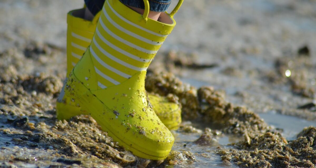 Pêche à pied en Charente-Maritime : on ne peut pas faire n&rsquo;importe quoi