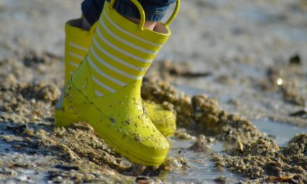 Pêche à pied en Charente-Maritime : on ne peut pas faire n&rsquo;importe quoi