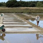 « Un atelier organoleptique » : le festival Fleur de Sel revient le 6 septembre