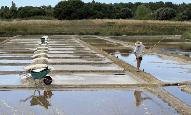 De la saunerie à l&rsquo;ostréiculture : une exposition pour comprendre cette reconversion