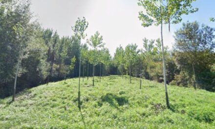 Près de Rochefort, un beau chèque pour renaturer une zone humide