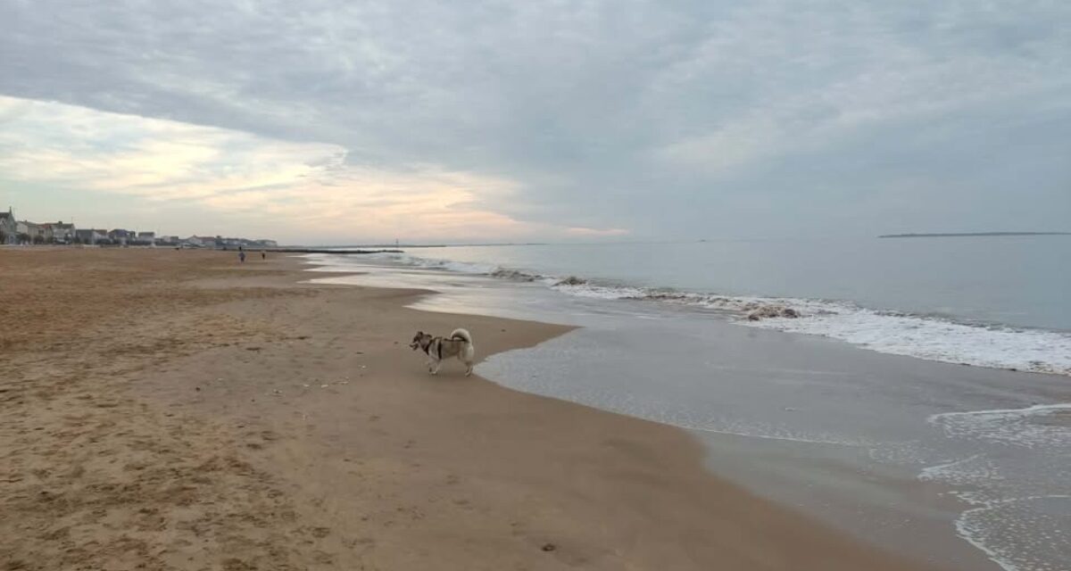 Alertes baïnes : cinq plages déconseillées en Charente-Maritime ce lundi 21 septembre