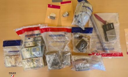 A La Rochelle, le trafiquant de drogue dealait sous bracelet électronique