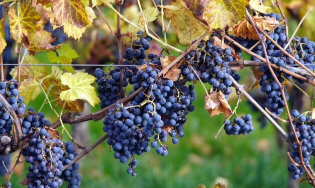 Une centaine d’emplois à pourvoir cette semaine en Charente-Maritime