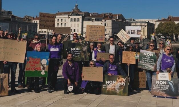 Le parti animaliste prêt à présenter des candidats aux prochaines législatives en Charente-Maritime